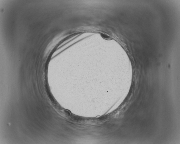 X0000064750103200603131353