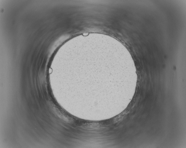 X0000064750104200603131353