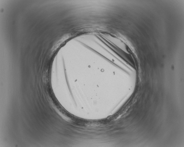 X0000064750105200603131353