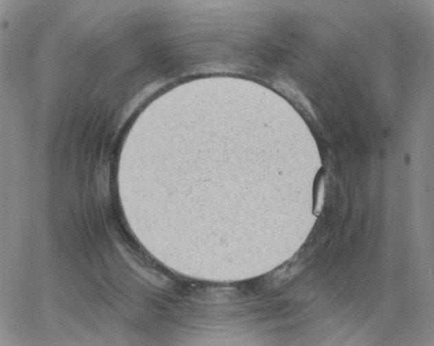 X0000064750108200603131353