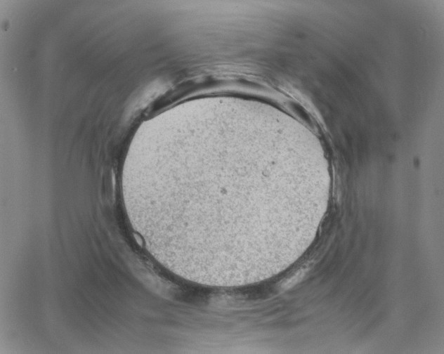 X0000064750109200603131353