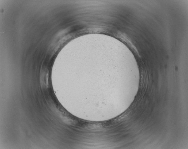 X0000064750110200603131353