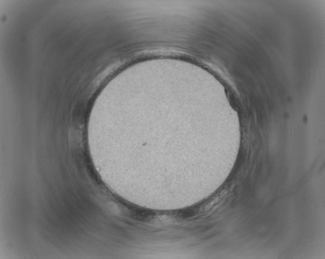 X0000064750111200603131353