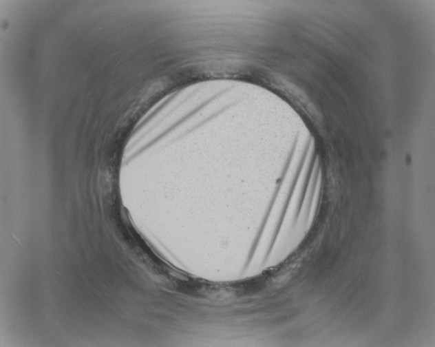 X0000064750113200603131353