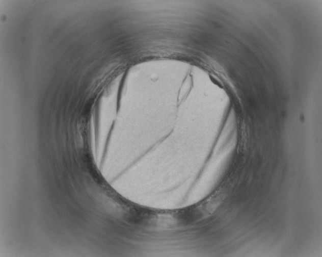 X0000064750114200603131353