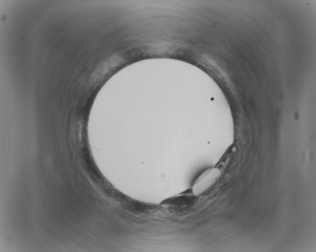 X0000064750115200603131353