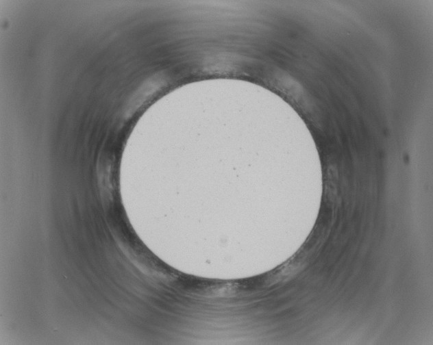 X0000064750116200603131353