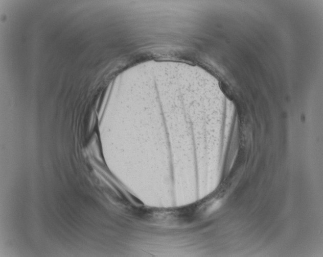 X0000064750117200603131353