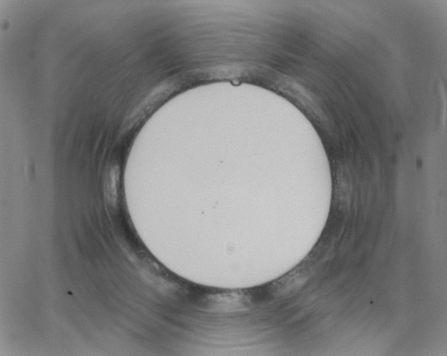 X0000064750118200603131353