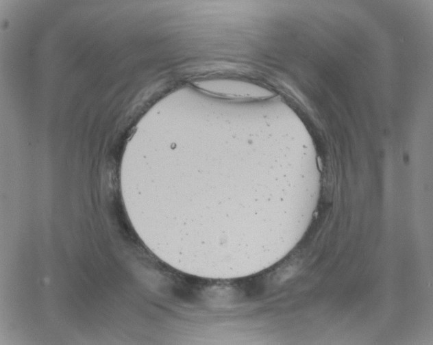 X0000064750119200603131353