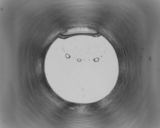 X0000064750120200603131353