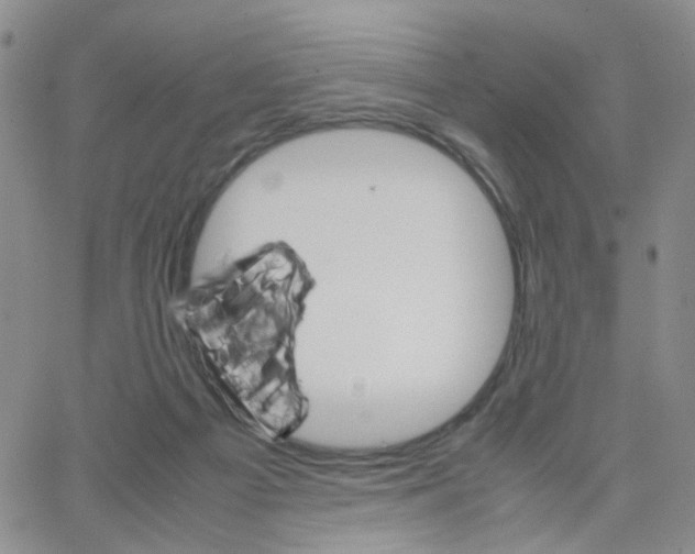 X0000064750121200603131353