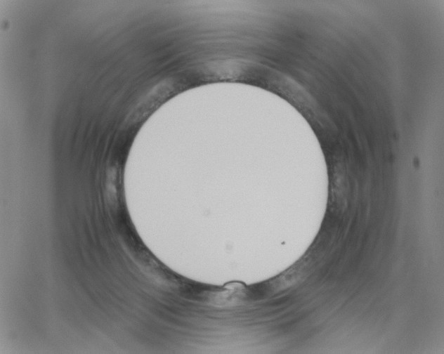 X0000064750122200603131353