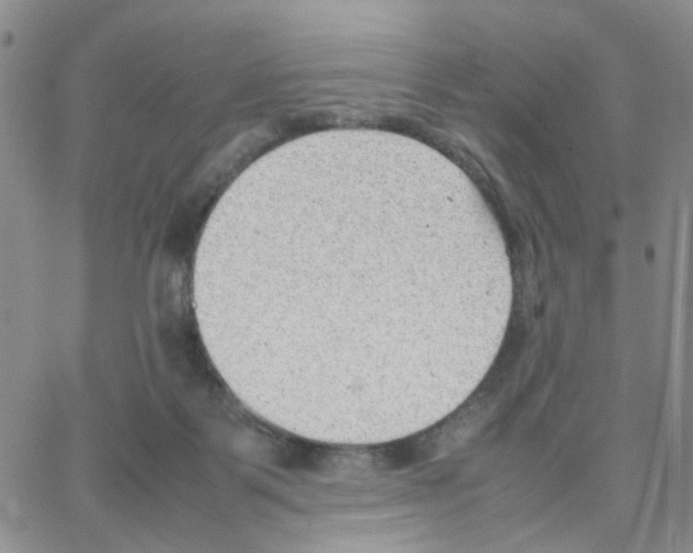 X0000064750123200603131353