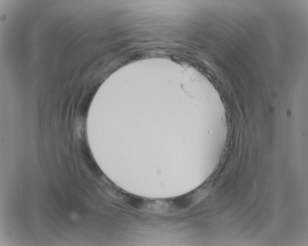 X0000064750125200603131353