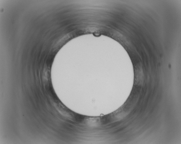 X0000064750126200603131353