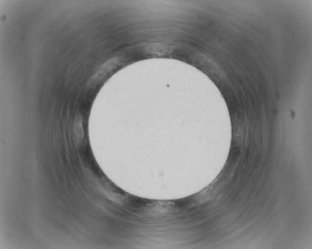 X0000064750128200603131353