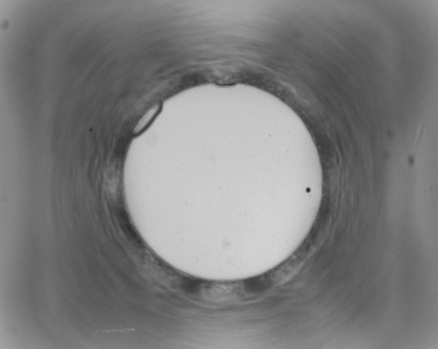 X0000064750129200603131353