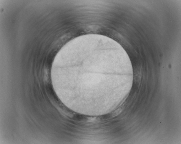 X0000064750130200603131353