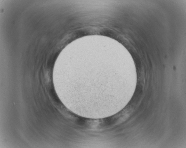 X0000064750131200603131353