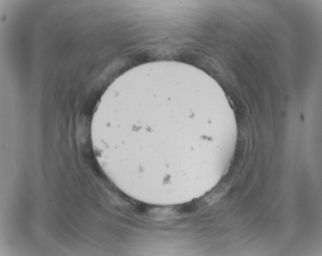 X0000064750133200603131353