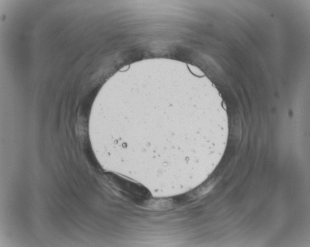 X0000064750135200603131353