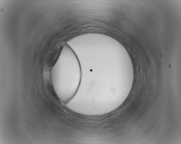 X0000064750137200603131353