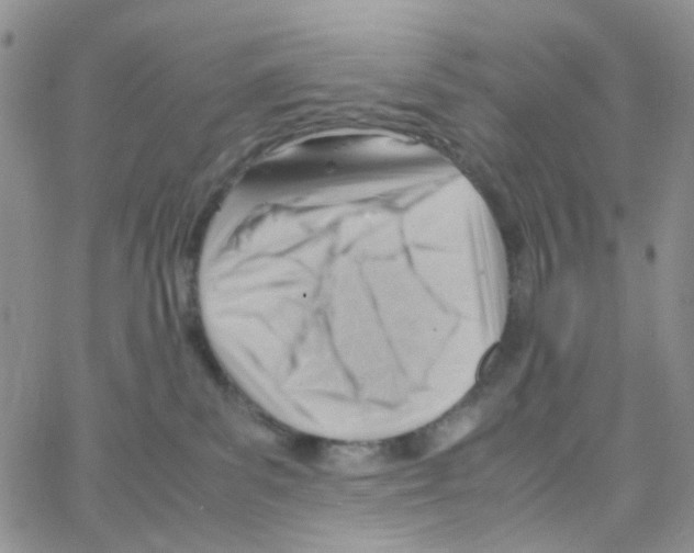 X0000064750139200603131353