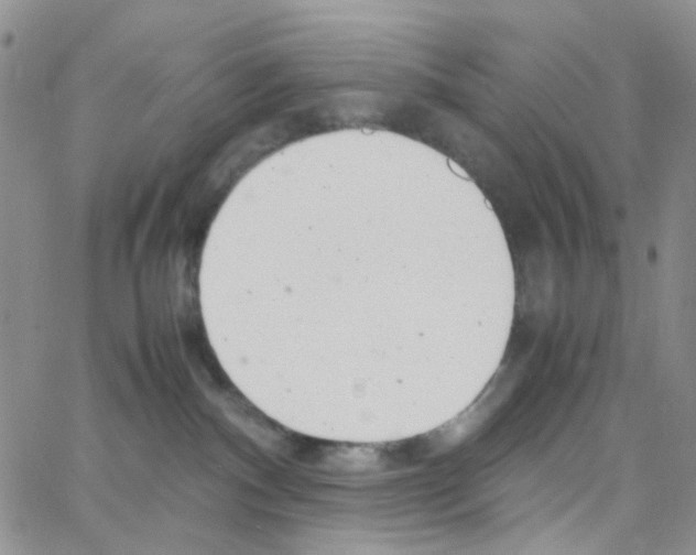 X0000064750140200603131353