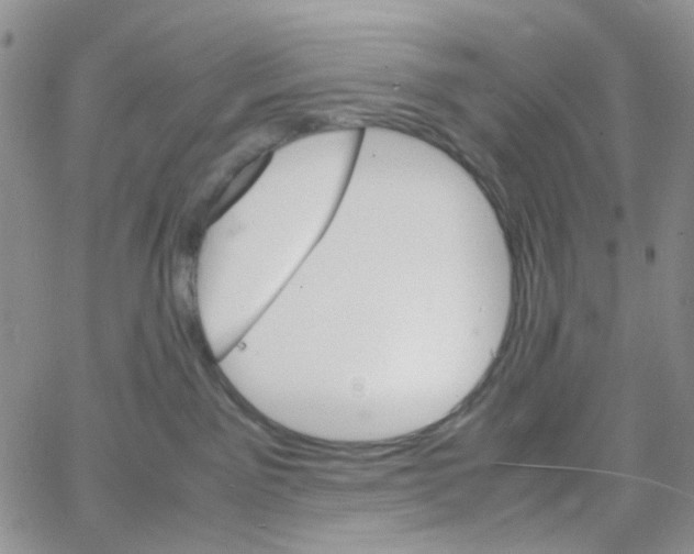 X0000064750141200603131353