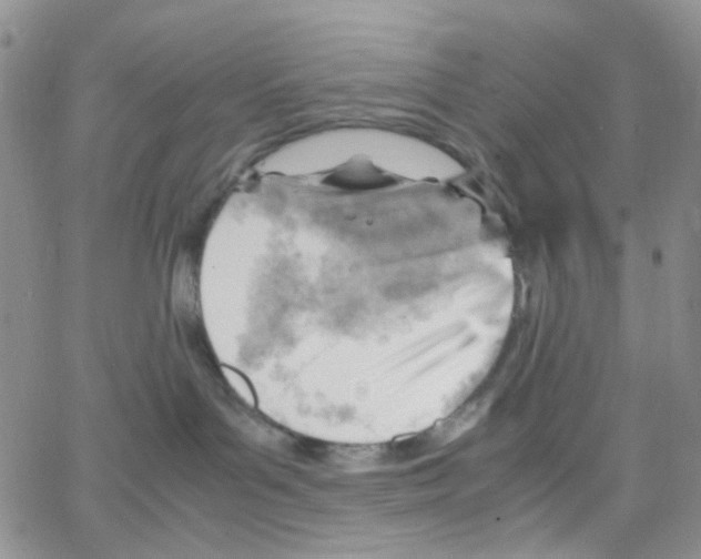 X0000064750143200603131353