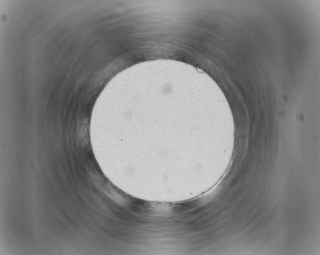 X0000064750144200603131353