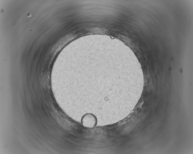 X0000064750146200603131352