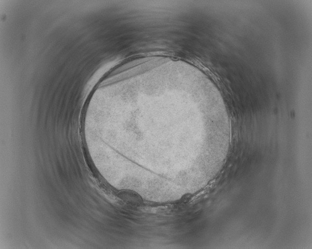 X0000064750147200603131352