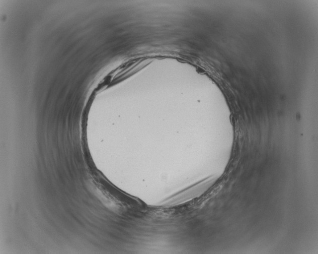 X0000064750148200603131352