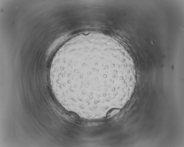 X0000064750149200603131352