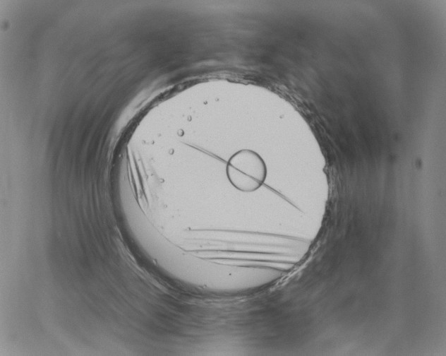 X0000064750150200603131352