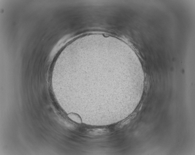 X0000064750151200603131352