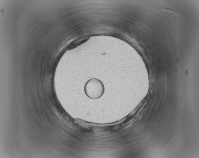 X0000064750154200603131352