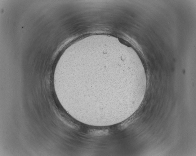 X0000064750155200603131352