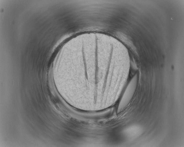 X0000064750156200603131352