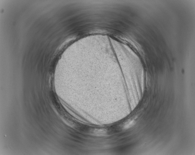 X0000064750157200603131352