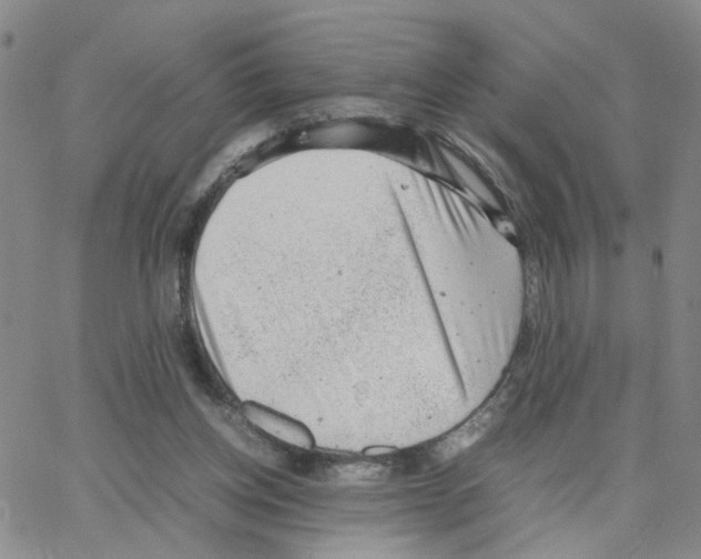 X0000064750158200603131352