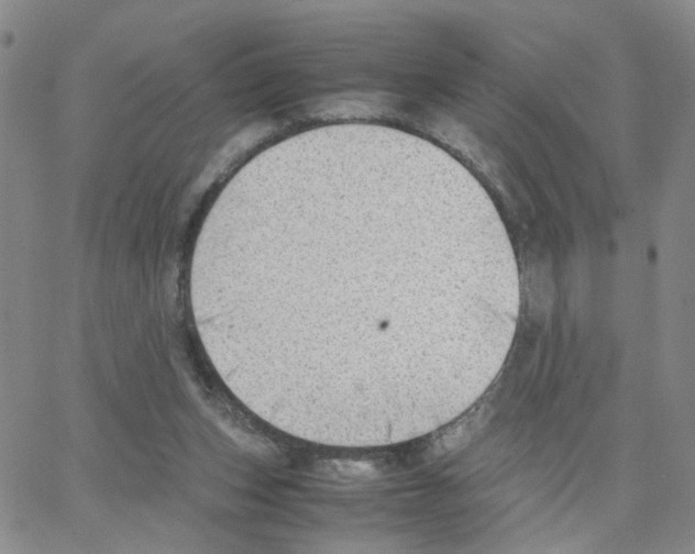 X0000064750159200603131352