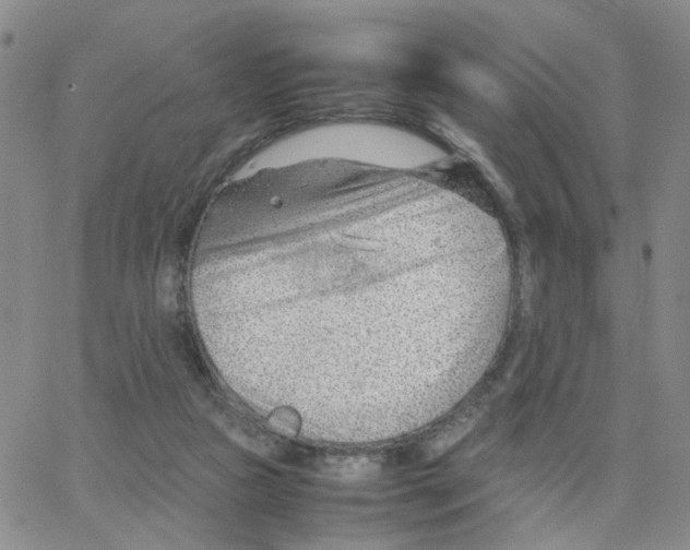 X0000064750161200603131352