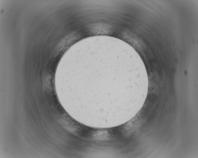 X0000064750162200603131352