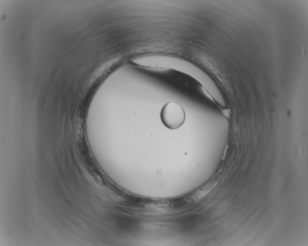 X0000064750164200603131352