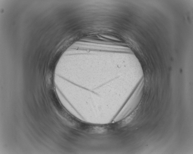 X0000064750166200603131352