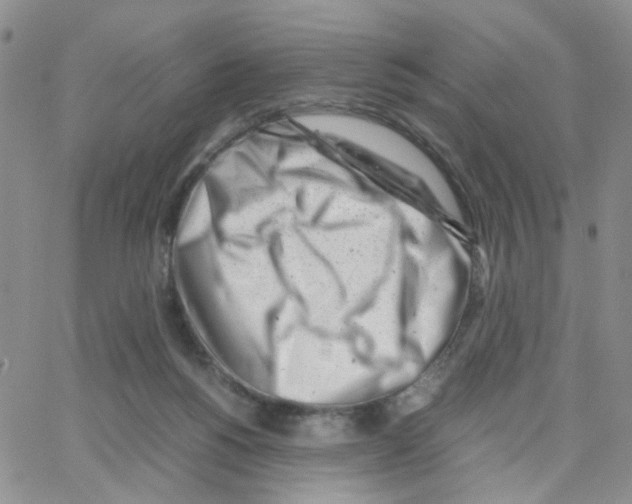 X0000064750168200603131352