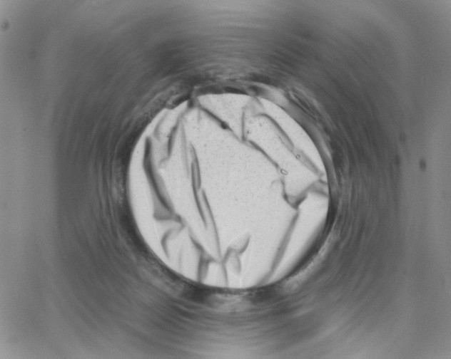 X0000064750170200603131352